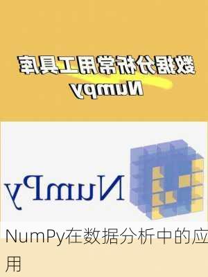 NumPy在数据分析中的应用