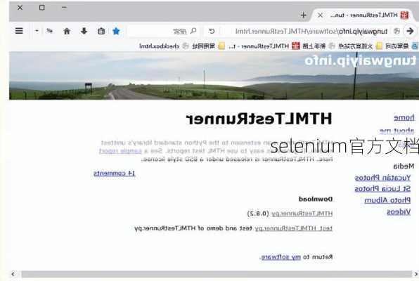 selenium官方文档