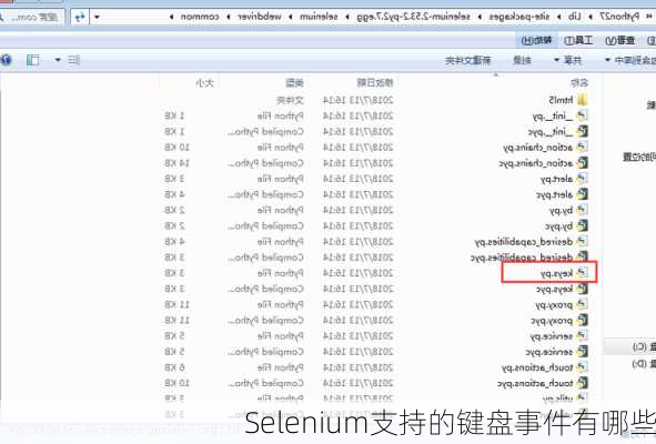 Selenium支持的键盘事件有哪些