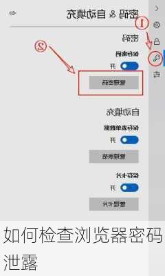 如何检查浏览器密码泄露