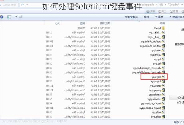 如何处理Selenium键盘事件