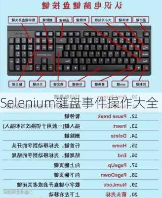 Selenium键盘事件操作大全