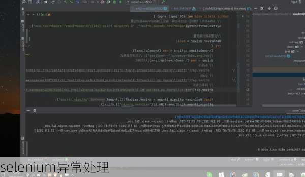 selenium异常处理