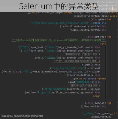 Selenium中的异常类型