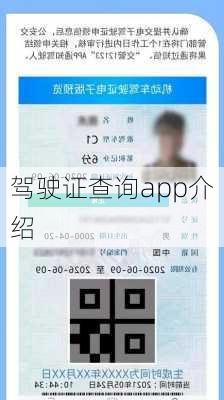 驾驶证查询app介绍