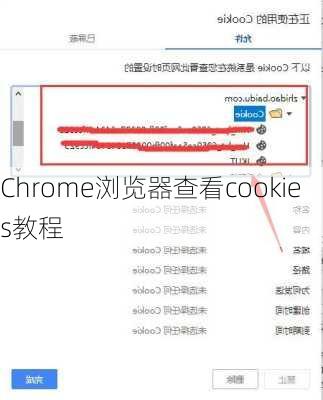 Chrome浏览器查看cookies教程