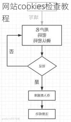 网站cookies检查教程