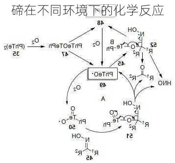 碲在不同环境下的化学反应