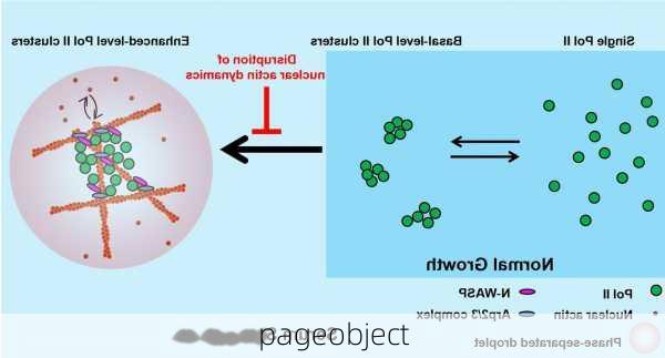 pageobject