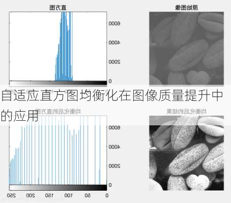 自适应直方图均衡化在图像质量提升中的应用