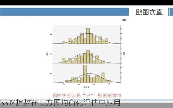 SSIM指数在直方图均衡化评估中应用