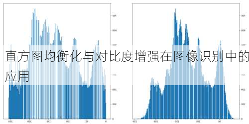 直方图均衡化与对比度增强在图像识别中的应用