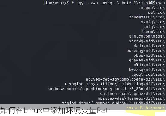 如何在Linux中添加环境变量Path