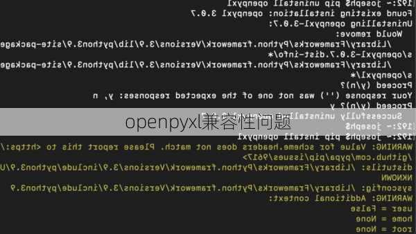 openpyxl兼容性问题