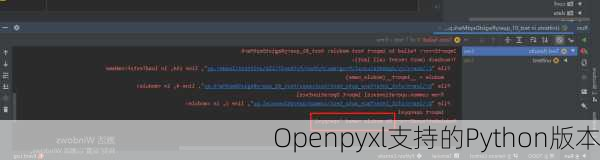 Openpyxl支持的Python版本