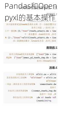 Pandas和Openpyxl的基本操作