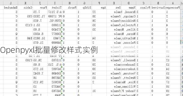 Openpyxl批量修改样式实例