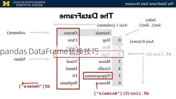 pandas DataFrame转换技巧