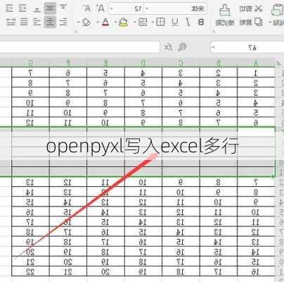 openpyxl写入excel多行