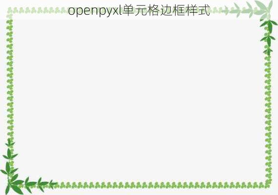 openpyxl单元格边框样式