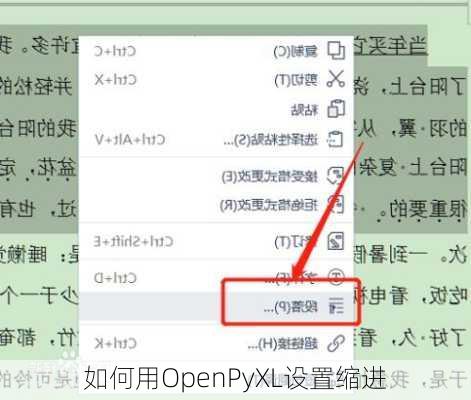 如何用OpenPyXL设置缩进