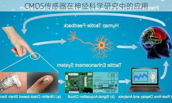 CMOS传感器在神经科学研究中的应用