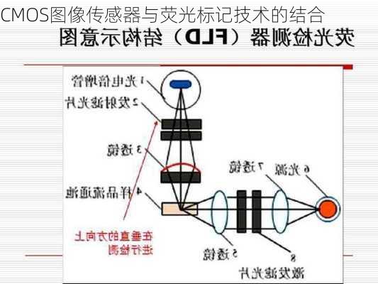 CMOS图像传感器与荧光标记技术的结合