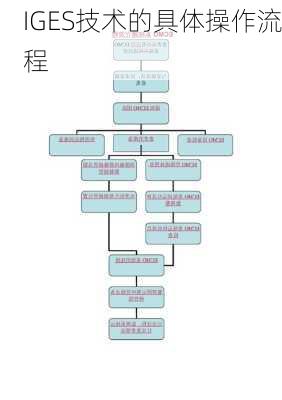 IGES技术的具体操作流程