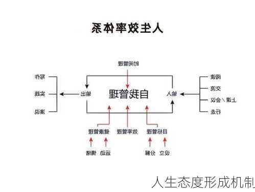 人生态度形成机制