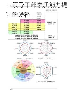 三领导干部素质能力提升的途径