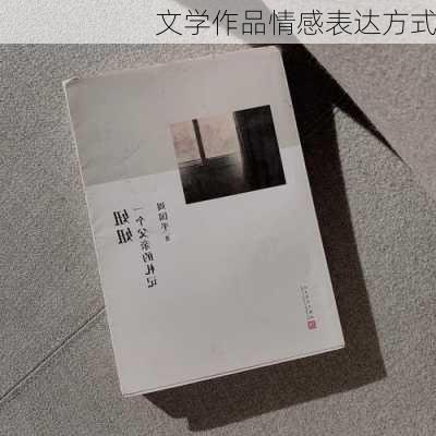 文学作品情感表达方式