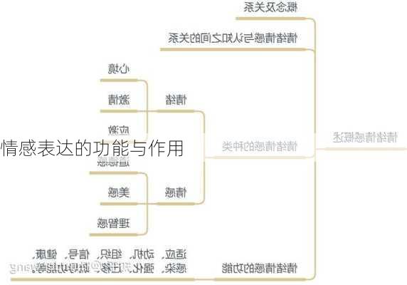 情感表达的功能与作用