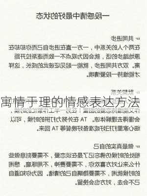 寓情于理的情感表达方法