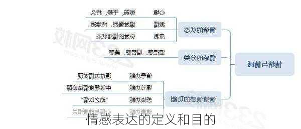 情感表达的定义和目的