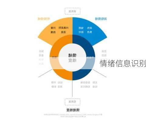 情绪信息识别