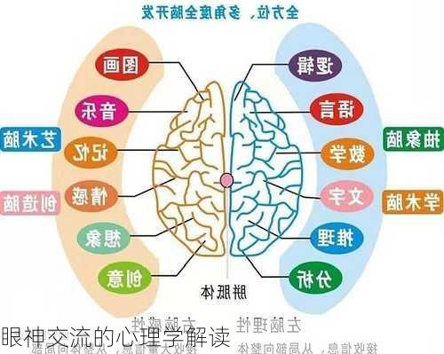 眼神交流的心理学解读