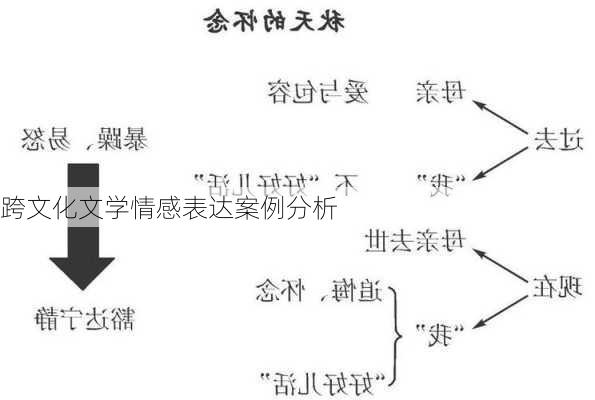 跨文化文学情感表达案例分析