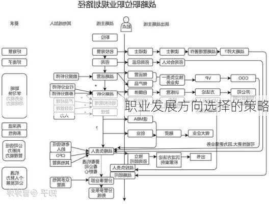 职业发展方向选择的策略