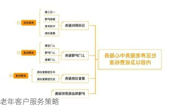 老年客户服务策略