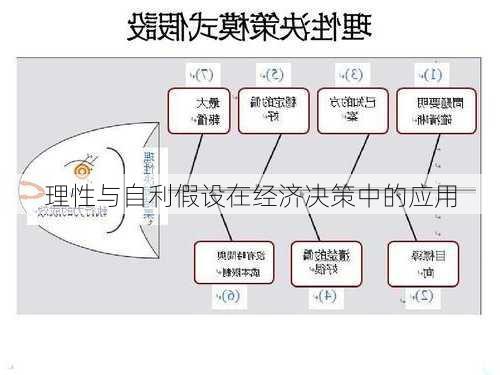 理性与自利假设在经济决策中的应用