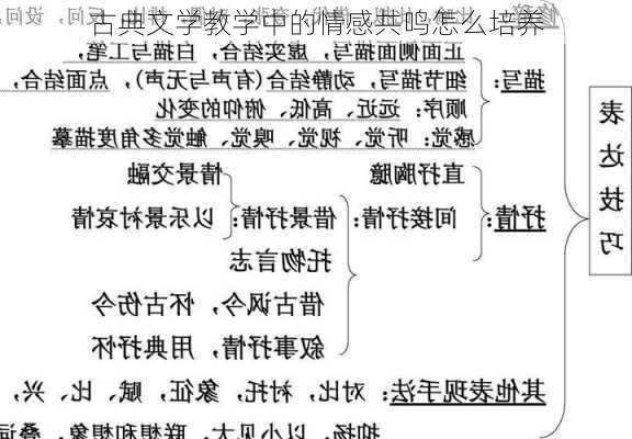 古典文学教学中的情感共鸣怎么培养