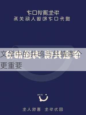 文学中的共鸣与共情哪个更重要