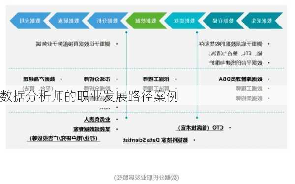 数据分析师的职业发展路径案例