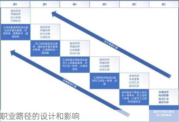 职业路径的设计和影响