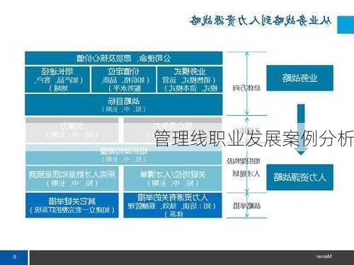 管理线职业发展案例分析