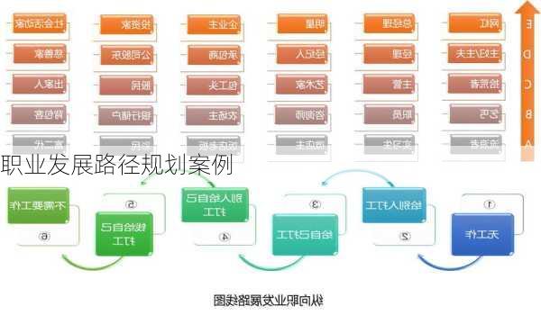 职业发展路径规划案例