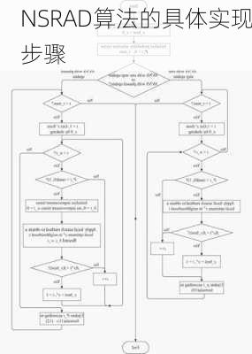 NSRAD算法的具体实现步骤