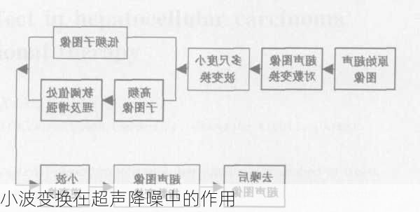 小波变换在超声降噪中的作用