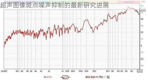 超声图像斑点噪声抑制的最新研究进展