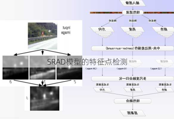 SRAD模型的特征点检测